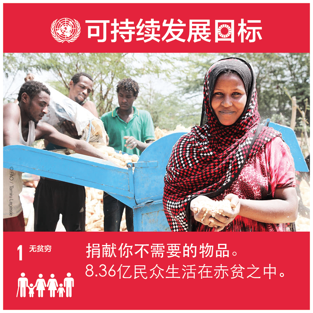 在全世界消除一切形式的貧困