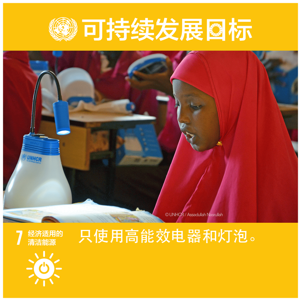 確保人人獲得負(fù)擔(dān)得起的、可靠和可持續(xù)的現(xiàn)代能源